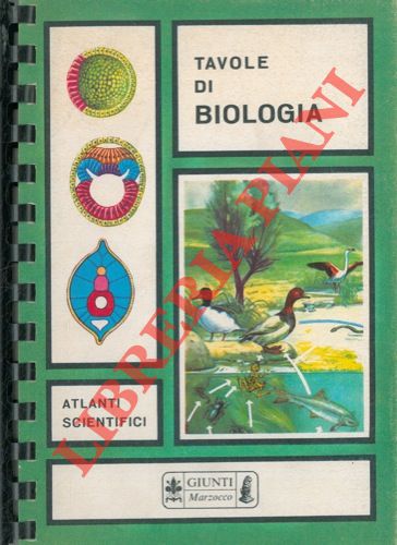 - - Tavole di biologia.