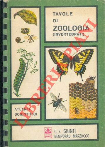 - - Tavole di zoologia invertebrati)