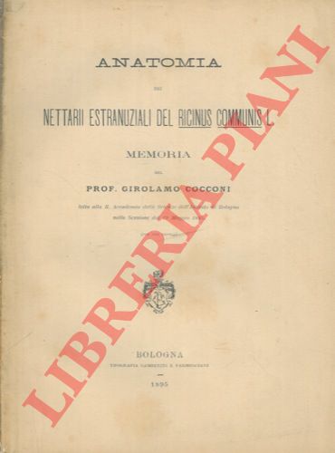 COCCONI Girolamo - - Anatomia dei nettarii estranuziali del Ricinus communis L.