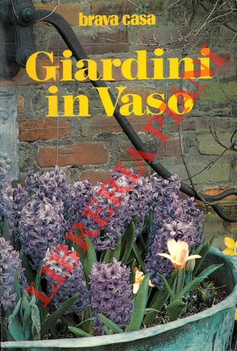 (BERTI Giordano) - - Giardini in vaso.