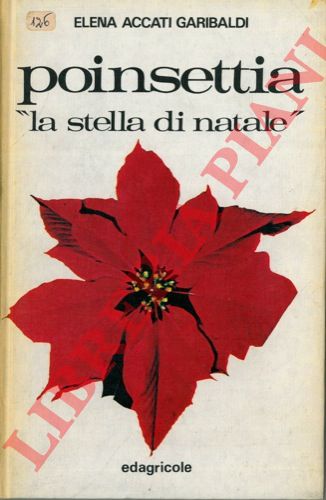 ACCATI GARIBALDI Elena - - Poinsettia 