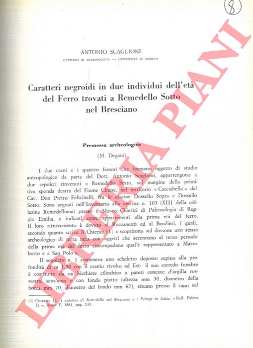 SCAGLIONI Antonio - - Caratteri negroidi in due individui dell'et del Ferro trovati a Remedello Sotto nel Bresciano.