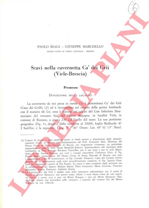 BIAGI Paolo - MARCHELLO Giuseppe - - Scavi nella cavernetta Ca' dei Grii (Virle-Brescia) .
