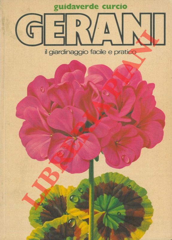 DEL VECCHIO Maria Vittoria - - Gerani.