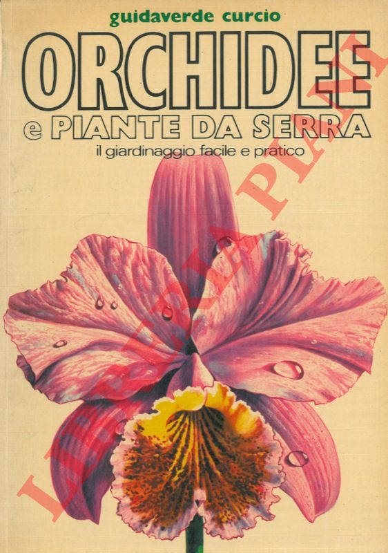 PIZZETTI Mariella - - Orchidee e piante da serra.