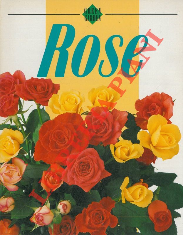 (TRUCCHI Remo) - - Rose.