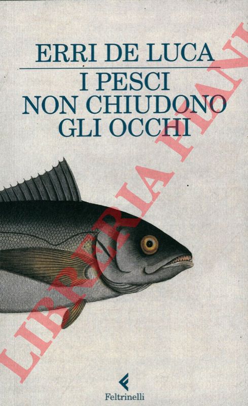 DE LUCA Erri - - I pesci non chiudono gli occhi.