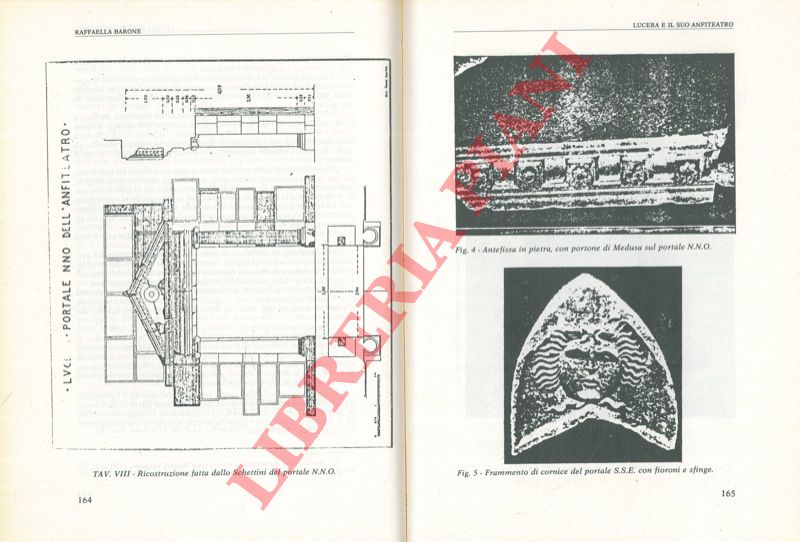 BARONE Raffaella - - Lucera e il suo anfiteatro.