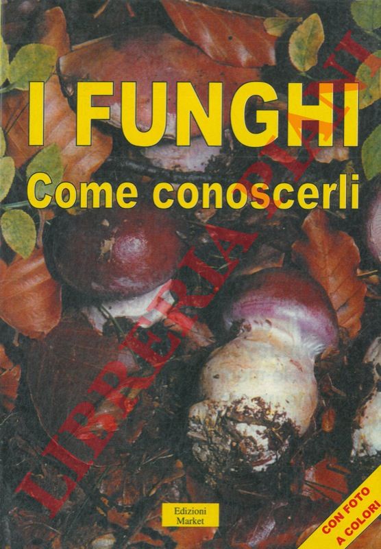 - - I Funghi.