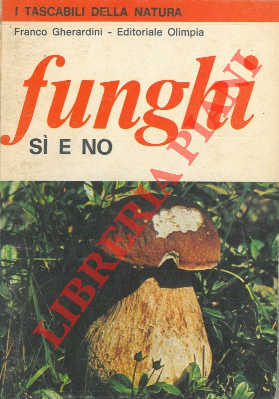 GHERARDINI Franco - - Funghi s
