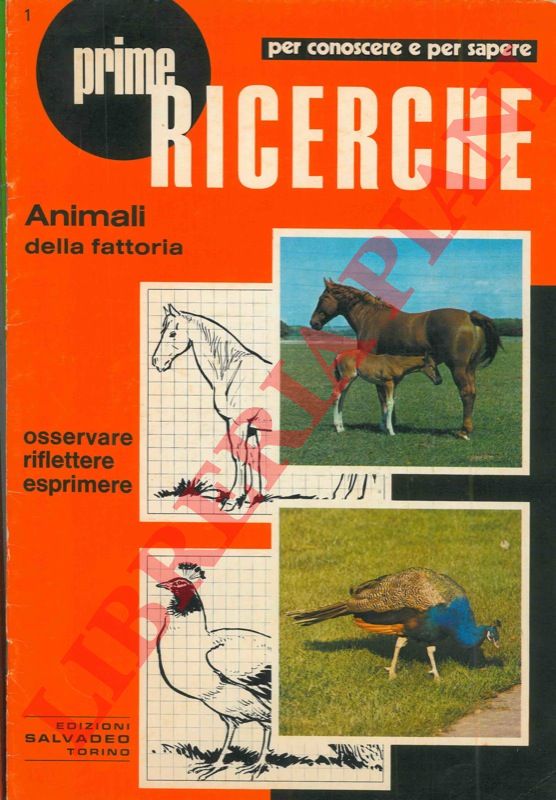 - - Animali della fattoria - I pesci e i ciclostomi.