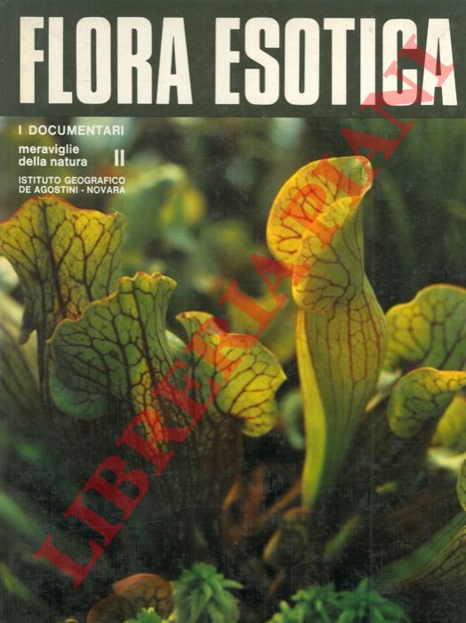 TOSCO Uberto - - Flora esotica. II.