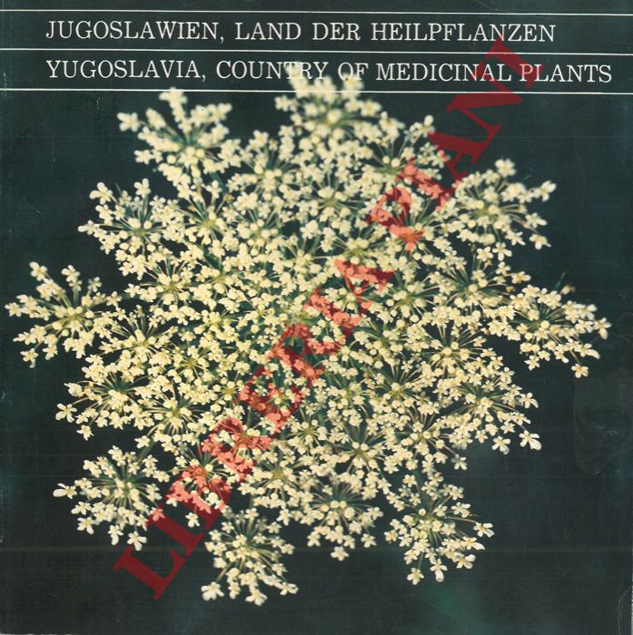 - - Yugoslavia, country of medicinal plants. Jugoslawien, land der heipflanzen.