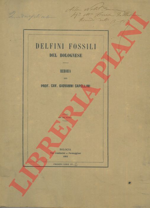 CAPELLINI Giovanni - - Delfini fossili del bolognese. Memoria preceduta da un cenno geologico sui dintorni di S. Lorenzo in collina.