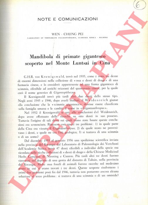 PEI When Chung - - Mandibola di primate gigantesco scoperto nel Monte Luntsai in Cina.