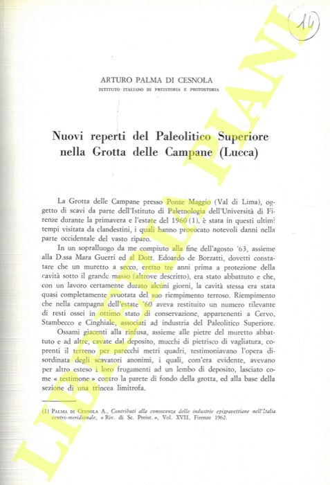 PALMA DI CESNOLA Arturo - - Nuovi reperti del Paleolitico superiore nella Grotta delle Campane (Lucca) .
