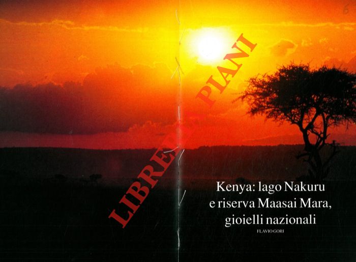GORI Flavio - - Kenya: lago Nakuru e riserva Maasai Mara, gioielli nazionali.