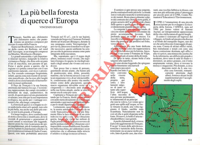 DI DATO Vincenzo - - La pi bella foresta di querce d'Europa.