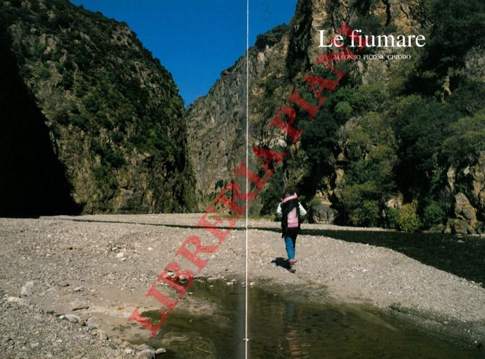 PICONE CHIODO Alfonso - - Le fiumare.