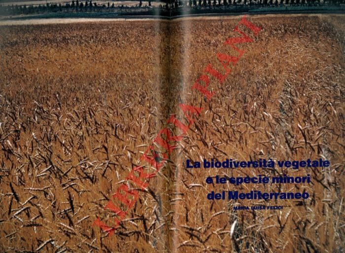 FELICI Maria Luisa - - La biodiversit vegetale e le specie minori del Mediterraneo.