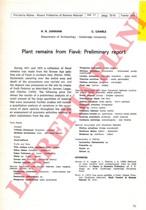 JARMAN H. N. - GAMBLE C. - - Plant remains from Fiav: Preliminary report.