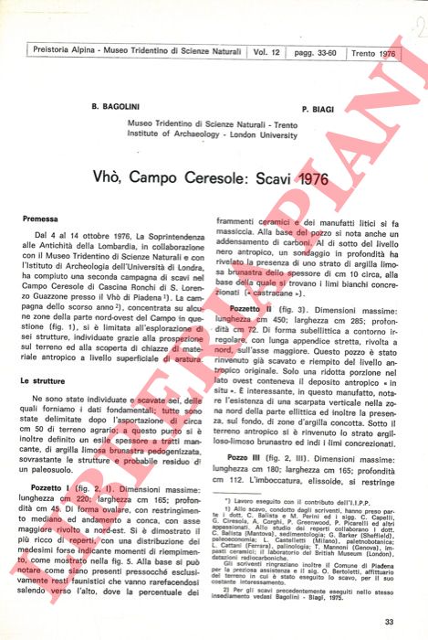 BAGOLINI Bernardino - BIAGI Paolo - - Vh, Campo Ceresole: Scavi 1976.