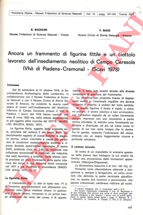 BAGOLINI Bernardino - BIAGI Paolo - - Ancora un frammento di figurina fittile e un ciottolo lavorato dall'insediamento neolitico di Campo Ceresole (Vh di Piadena - Cremona) .