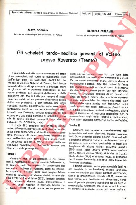 CORRAIN Cleto - ERSPAMER Gabriela - - Gli scheletri tardo-neolitici giovanili di Volano, presso Rovereto (Trento) .