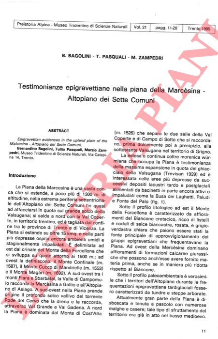 BAGOLINI B. - PASQUALI T. - ZAMPEDRI M. - - Testimonianze epigravettiane nella piana della Marcesina - Altopiano dei Sette Comuni.
