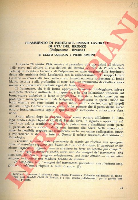 CORRAIN Cleto - SIMONI Piero - - Frammento di parietale umano lavorato di et del Bronzo (Polpenazze - Brescia) .