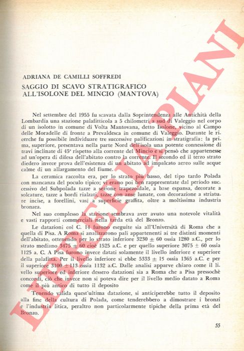 DE CAMILLI SOFFREDI Adriana - - Saggio di scavo stratigrafico all'Isolone del Mincio (Mantova) .