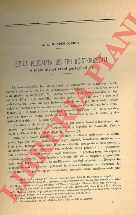 MENDES CORREA A. A. - - Sulla pluralt dei tipi ipsistenocefali e sopra alcuni crani portoghesi.
