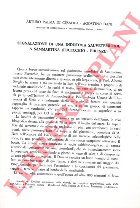 PALMA DI CESNOLA Arturo - DANI Agostino - - Segnalazione di una industria sauveterroide a Sammartina (Fucecchio - Firenze) .