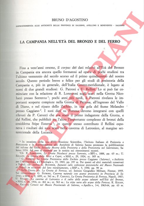 D'AGOSTINO Bruno - - La Campania nell'Et del Bronzo e del Ferro.