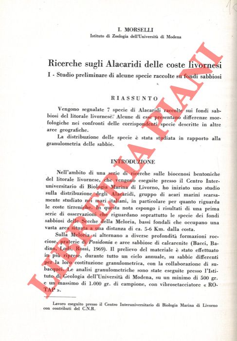 MORSELLI I. - - Ricerche sugli Alacaridi delle coste livornesi.