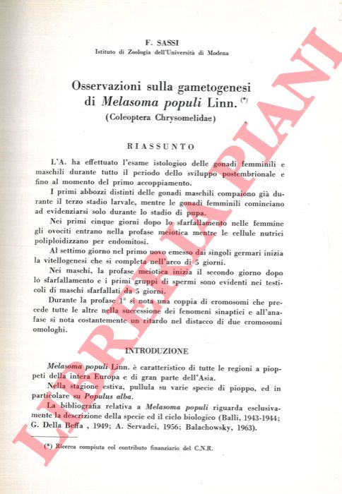 SASSI F. - - Osservazioni sulla gametogenesi di Melasoma populi Linn.