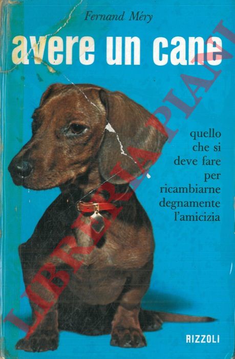 MERY Fernand - - Avere un cane.