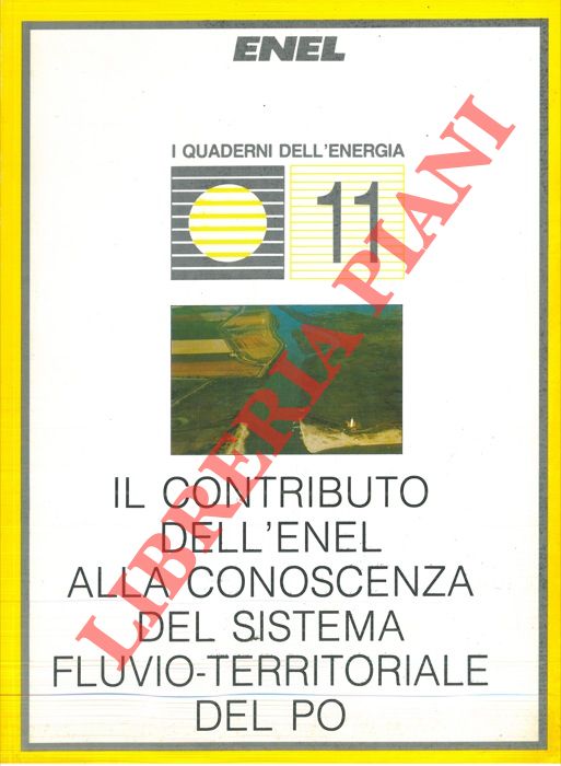 - - Il contributo dell'Enel alla conoscenza del sistema fluvio-territoriale del Po.