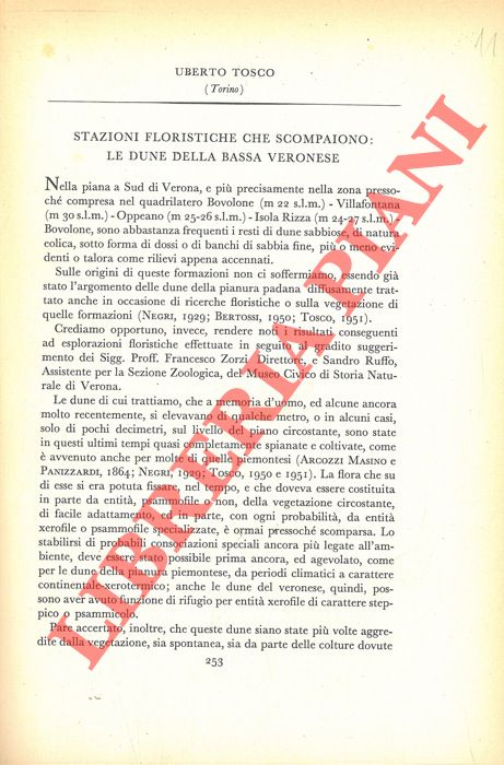 TOSCO Uberto - - Stazioni floristiche che scompaiono: le dune della bassa Veronese.