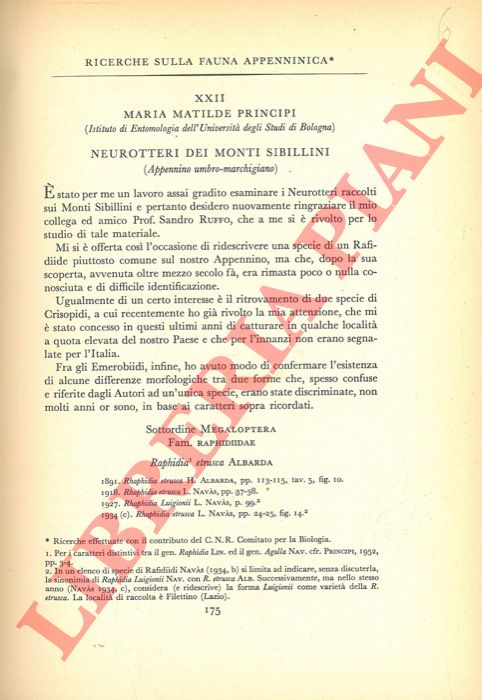 PRINCIPI Maria Matilde - - Ricerche sulla fauna appenninica. Neurotteri dei Monti Sibillini (Appennino Umbro-Marchigiano) .