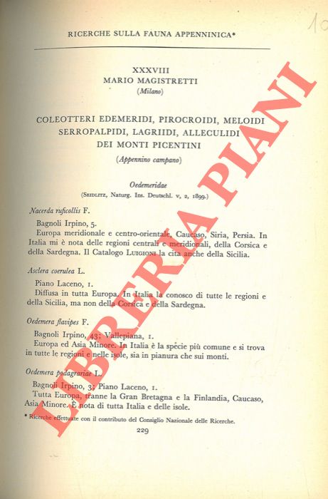 MAGISTRETTI Mario - - Ricerche sulla fauna appenninica. Coleotteri Edemeridi, Pirocroidi, Meloidi, Serropalpidi, Lagriidi, Alleculidi dei Monti Picentini (Appennino Campano) .