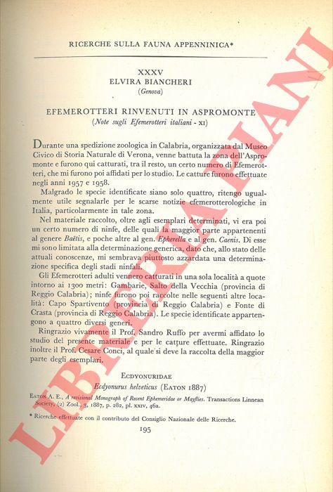 BIANCHERI Elvira - - Ricerche sulla fauna appenninica. Efemerotteri rinvenuti in Aspromonte.
