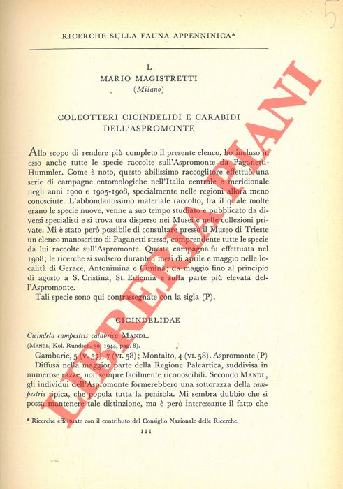 MAGISTRETTI Mario - - Ricerche sulla fauna appenninica. Coleotteri Cicindelidi e Carabidi dell'Aspromonte.