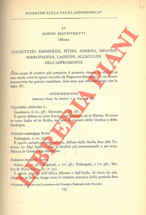 MAGISTRETTI Mario - - Ricerche sulla fauna appenninica. Coleotteri Edemeridi, Pitidi, Aderidi, Meloidi, Serropalpidi, Lagriidi, Alleculidi dell'Aspromonte.