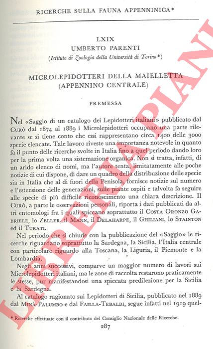 PARENTI Umberto - - Ricerche sulla fauna appenninica. Microlepidotteri della Maielletta (Appennino Centrale) .