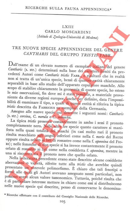 MOSCARDINI Carlo - - Ricerche sulla fauna appenninica. Tre nuove specie appenniniche del genere Cantharis del gruppo tristis Fabr.