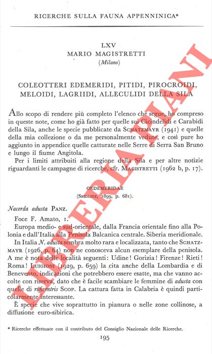MAGISTRETTI Mario - - Ricerche sulla fauna appenninica. Coleotteri Edemeridi, Pitidi, Pirocroidi, Meloidi, Lagriidi, Alleculidi della Sila.