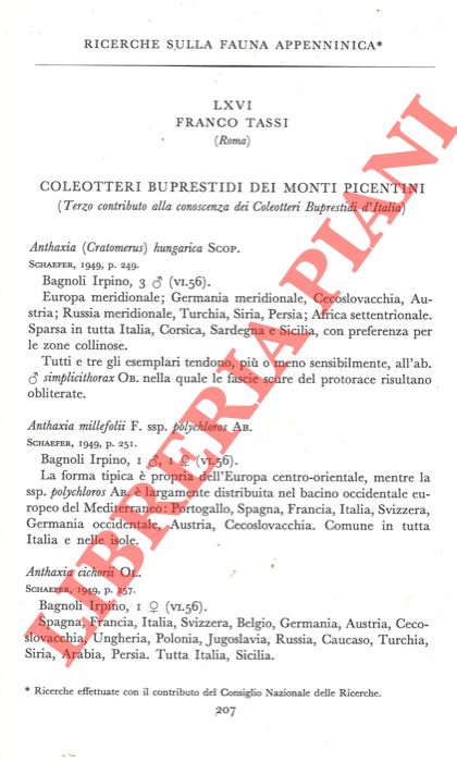 TASSI Franco - - Ricerche sulla fauna appenninica. Coleotteri Buprestidi dei Monti Picentini.