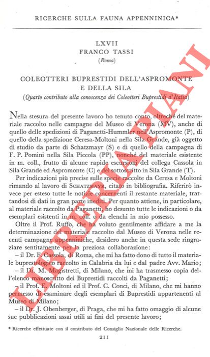 TASSI Franco - - Ricerche sulla fauna appenninica. Coleotteri Buprestidi dell'Aspromonte e della Sila.
