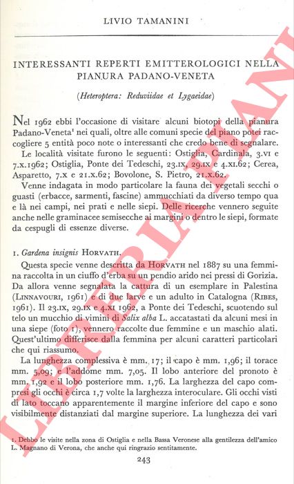 TAMANINI Livio - - Interessanti reperti emitterologici nella Pianura Padano-Veneta (Heteroptera: Reduviidae et Lygaeidae) .
